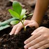 footer-widget-img
